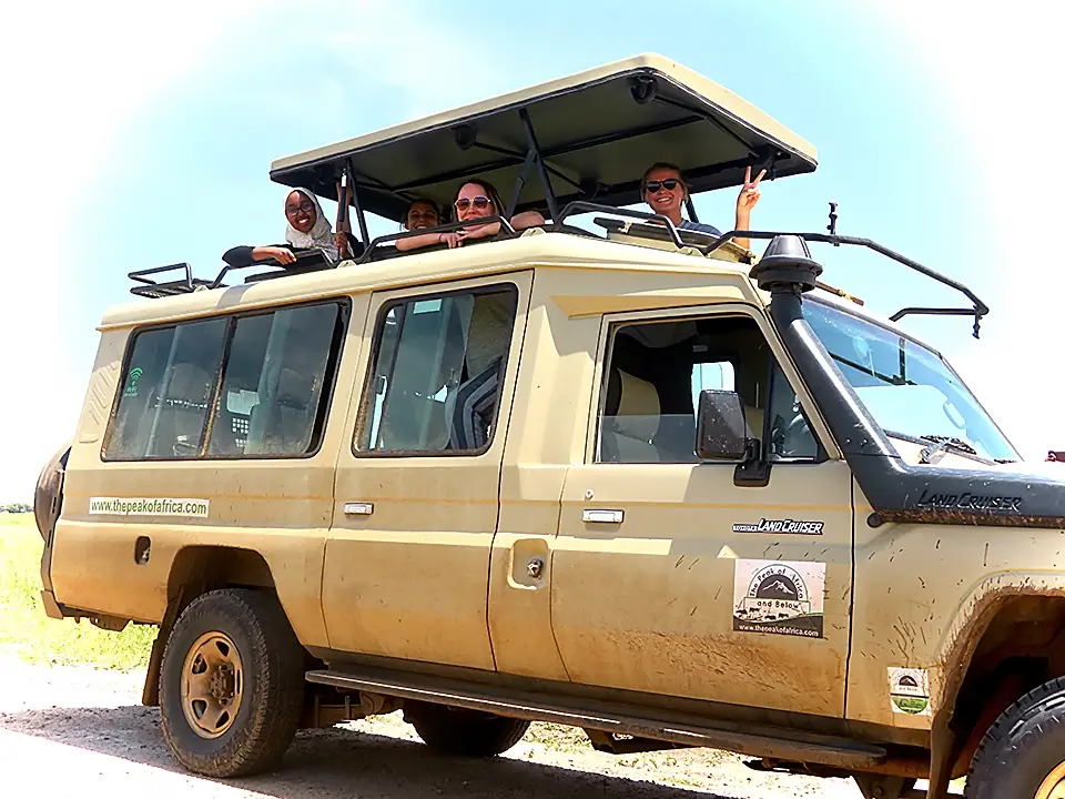 Tourists enjoying safari in pop-top Land Cruiser - The Peak of Africa & Below