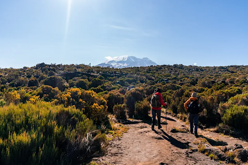 Hikers walking towards snowy mountain on sunny day, Kilimanjaro, Tanzania