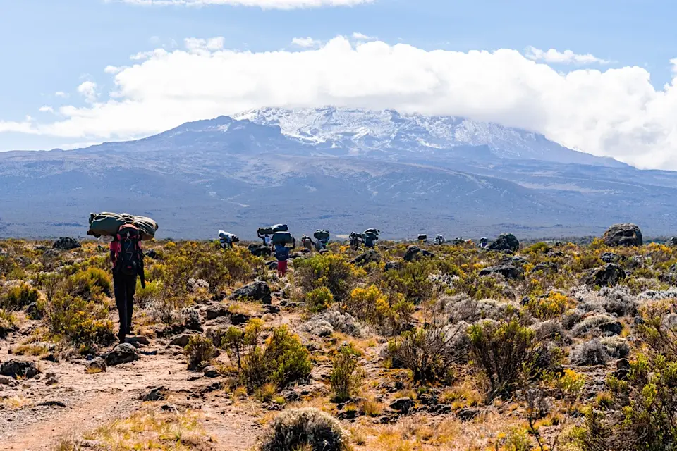 Porters trekking towards snowy mountain peak of Kilimanjaro