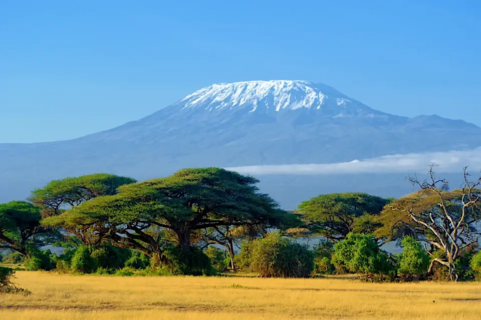 Snow-capped Mount Kilimanjaro with acacia trees in foreground